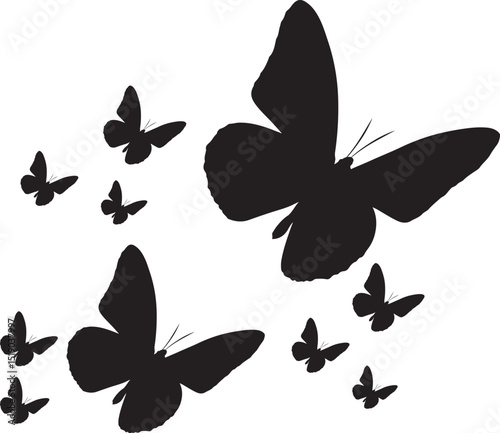 set of vector butterflies, collection of butterflies, set of butterflies ., butterfly, insect, nature, vector, illustration, silhouette, butterflies, set, design, wing, beauty, animal, fly, tattoo, co
