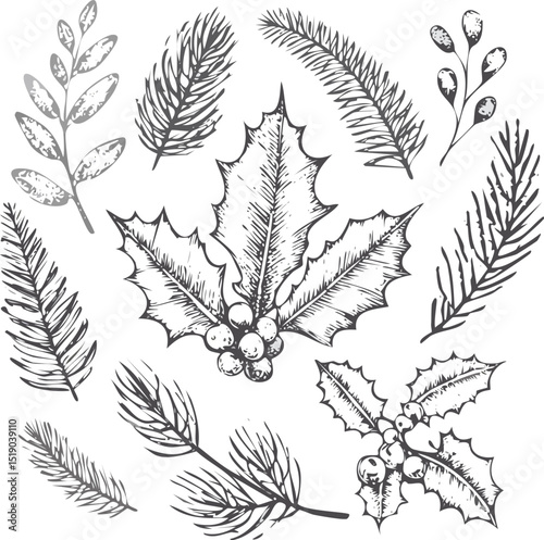 tree element. Crayon or ink brush winter leaf silhouette. Hand drawn floral set with flower, berry, branch, holly plant. Pencil line black sketch Xmas leaves.leaf, christmas, brush, ink, silhouette, 