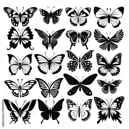 Collection of Black and White Butterfly Silhouettes with Various Wing Patterns