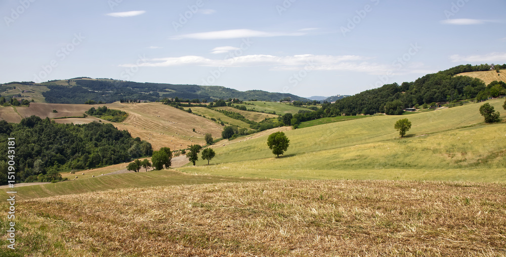 Obraz premium Landscape of Bologna, Valsamoggia countryside, showcasing rolling hills and harvested fields. Italy