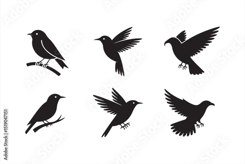 Creative set of bird icons in black silhouette style, featuring different wing positions and nature-based designs