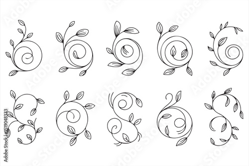 Intricate floral swirl with detailed leaf motifs and soft curves, ideal for elegant illustrations and designs