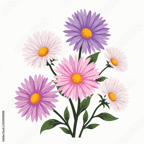 Colorful asters in geometric design on white background, floral artistry