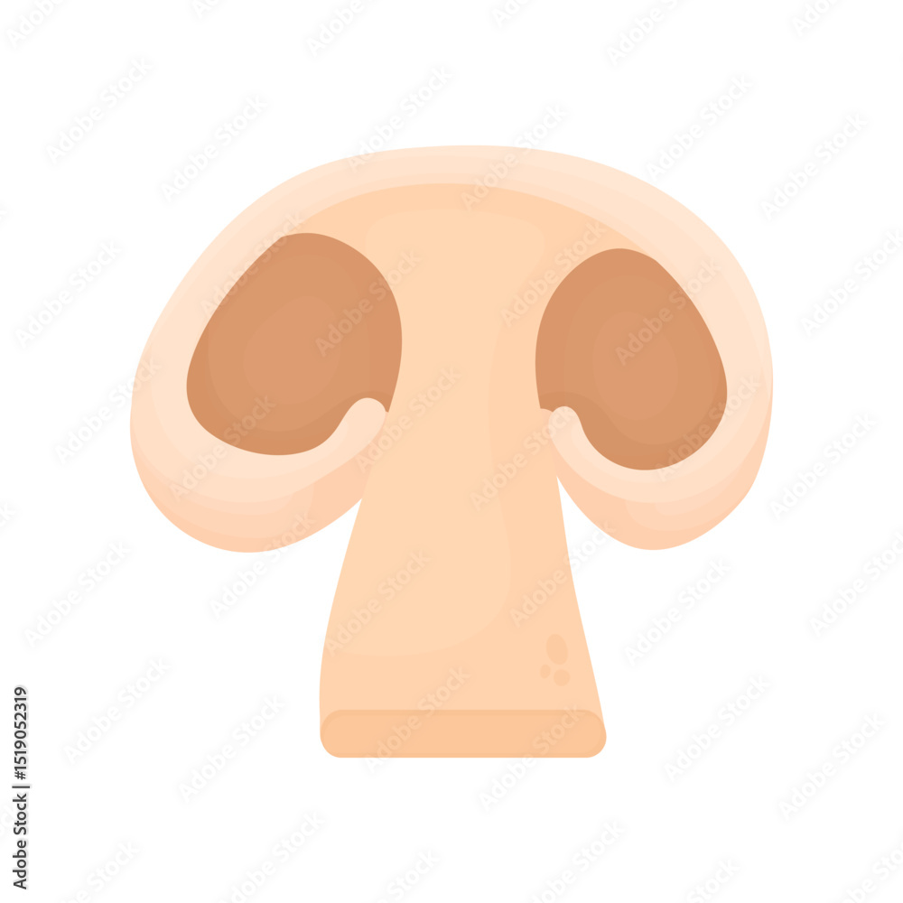 Obraz premium Slice of champignon. Sliced mushroom. Proper nutrition. Protein diet concept