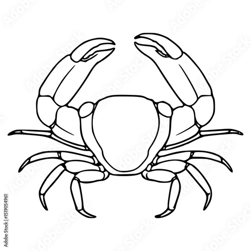 stylized crab outline drawing