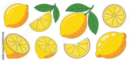 Vibrant Lemon Illustrations Variety of Slices and Whole Fruits