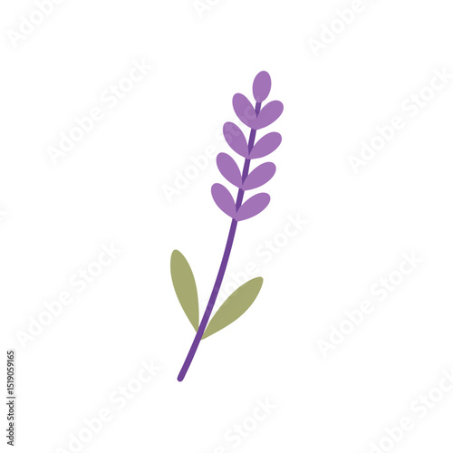 Fragrant Sea Lavender Vector Doodle Clipart