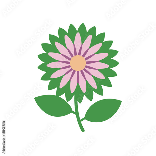 Aster Clip Art Doodle Vector on White Background