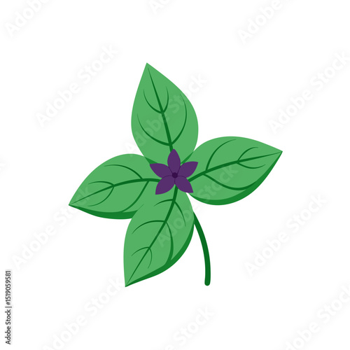 Basil Flower Clip Art Doodle Vector on White Background
