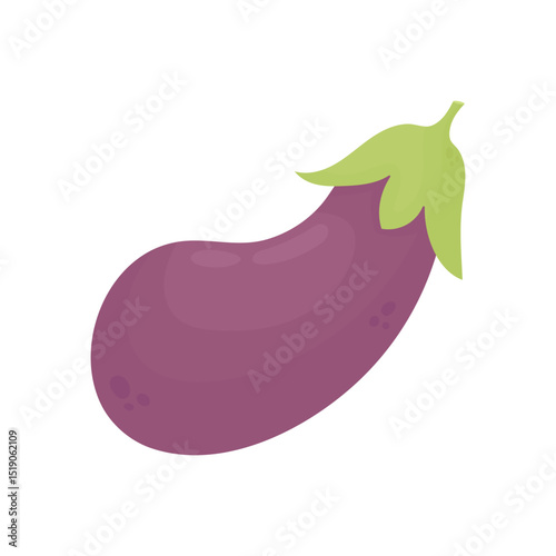 Eggplant. Healthy vegetables. Proper nutrition
