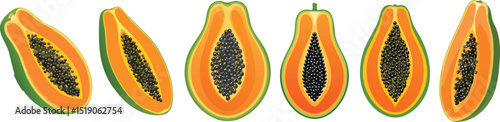 Set Vector Illustration of papaya