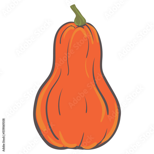 Vector autumn pumpkin. Hand drawn orange long pumpkin isolated on white. Illustration for Halloween, Thanksgiving design elements. Flat style.