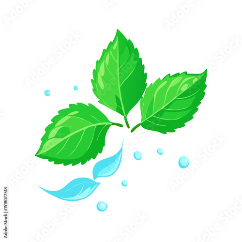 Fresh mint leaves with splashing water drops isolated on white background 