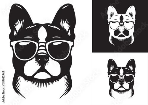 vector illustration of a dog