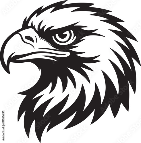 eagle head vector illustration