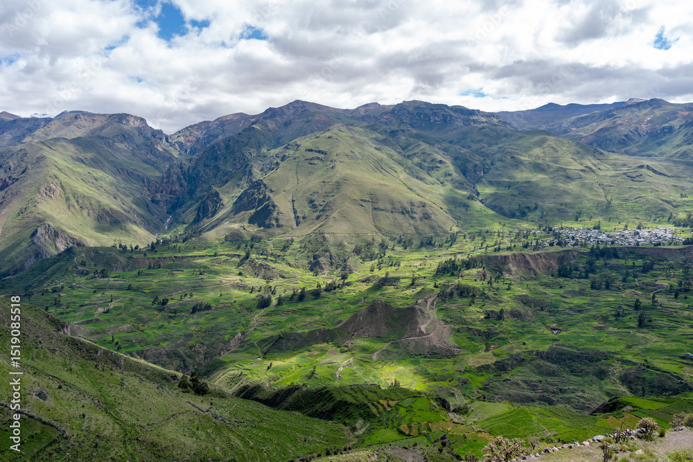 Fototapeta premium Colca Canyon with a clear blue sky, Peru