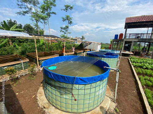Fotografija Fish farm with four ponds and a house