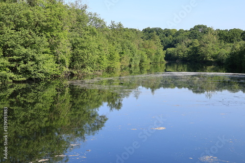 Blick auf den Fluss Möhne im Arnsberger Wald