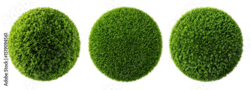 circle ball of green grass isolated on transparent background