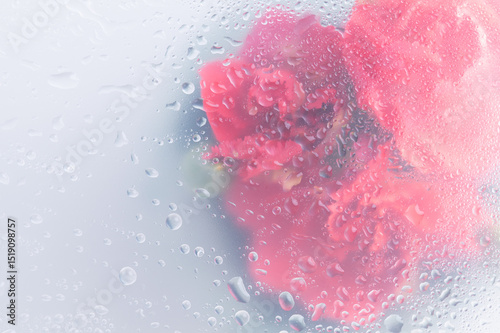 Bright beautiful bouquet of red flowers arrangement behind a white matte glass blurry with water drops,soft focus,DOF- depth of field