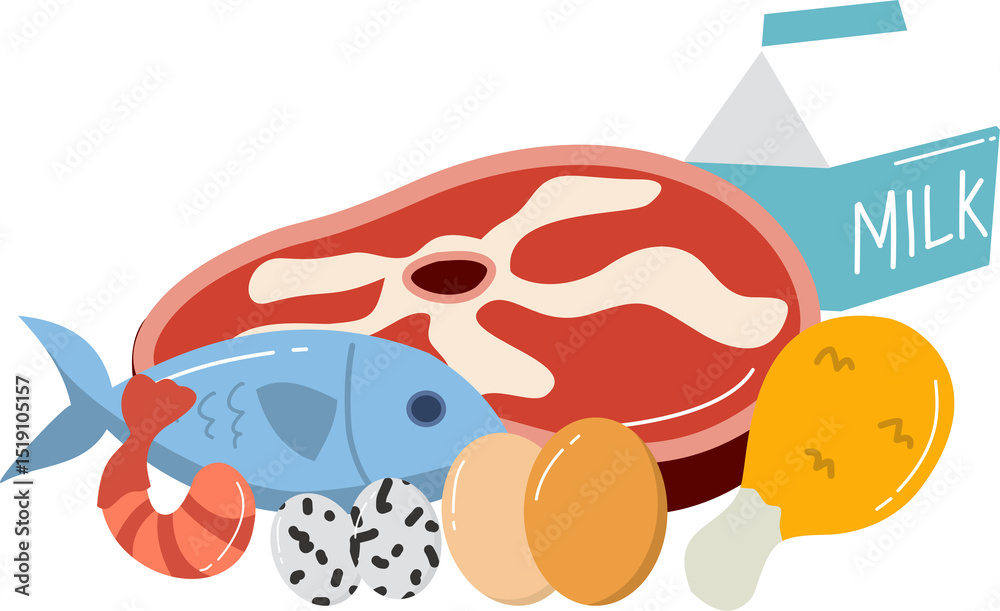 Naklejka premium Animal Protein Food