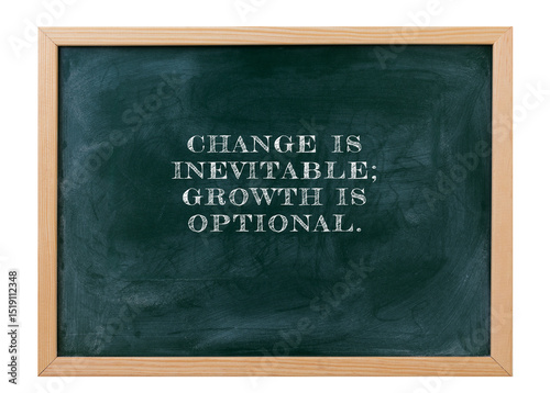 Change is inevitable growth is optional Adapt proactively.