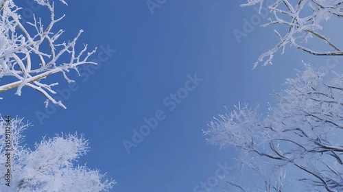 Snow covered branches against a clear blue sky