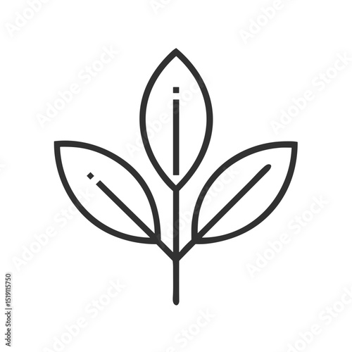 Organic leaf symbol icon for natural product websites, eco-friendly business blogs, environmental certification programs, sustainable brand marketing and green packaging designs