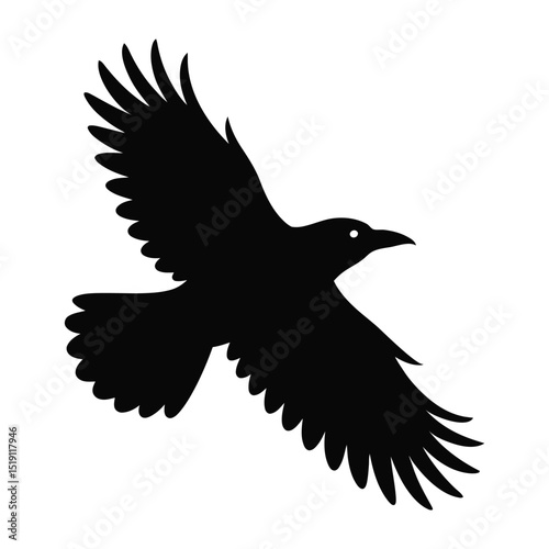 Crow Ascending With Sharp Wing Span