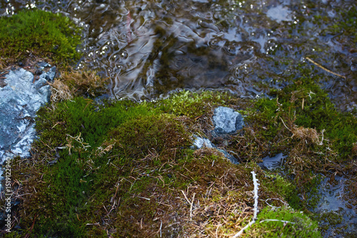 Moss-covered rocks beside a flowing stream in a serene natural setting