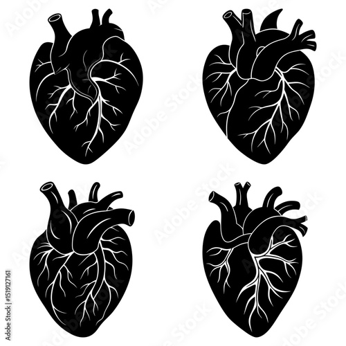 Four black and white anatomical heart illustrations in a grid pattern on a white background design art
