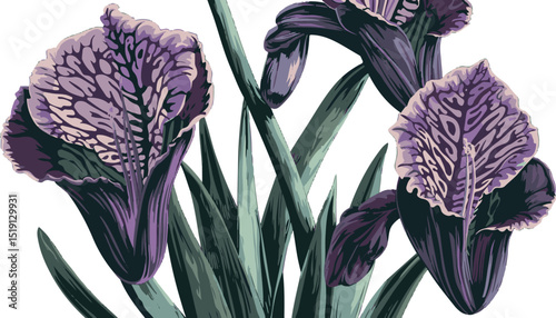 Elegant Iris Bouquet: A captivating floral display featuring a cluster of elegant iris flowers, their delicate petals unfurling with graceful detail, creating an exquisite artistic presentation.
