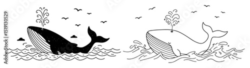 two whales swimming in the ocean vector illustration