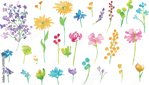 水彩画。水彩タッチのカラフルな花花束イラスト。色とりどりの花のベクターフレーム背景。Watercolor painting. Colorful flower bouquet illustration with watercolor touch. Colorful flowers vector frame background.