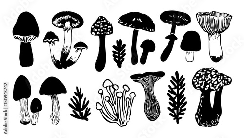 Woodcut Style Mushroom Set