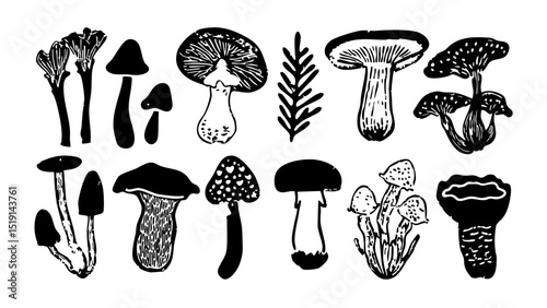 Black White Mushroom Illustration