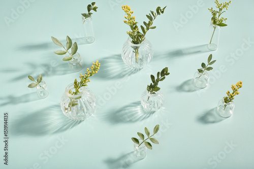 composition of a glass vase, green leaves and yellow flowers on a light blue background