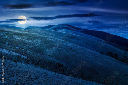 mountain landscape with green meadows in summer at night. picturesque travel destination wallpaper concept. scenery with rolling hills in full moon light