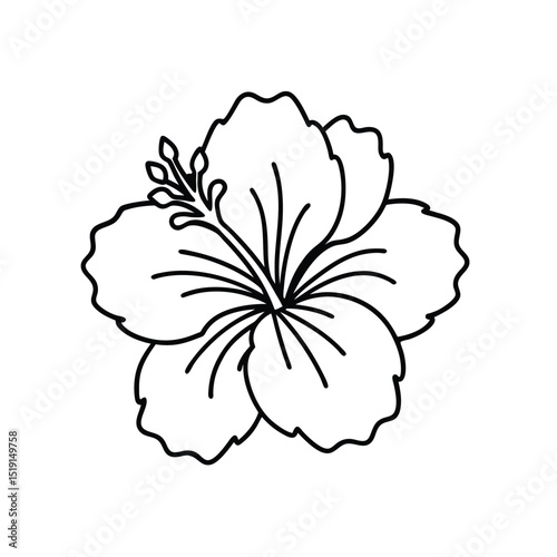 hibiscus flower line art vector icon design illustration.