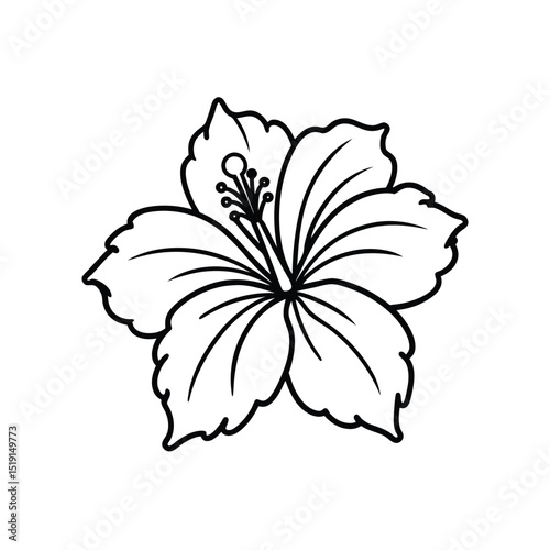hibiscus flower line art vector icon illustration.