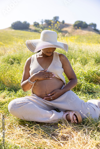 Imagine a serene scene of a pregnant woman relaxing outdoors on a warm summer day, highlighting the elegance of pregnancy amidst a stunning natural backdrop, showcasing the harmony of life and nature