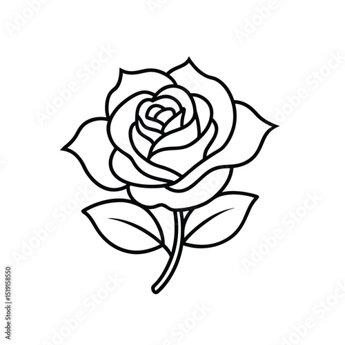 rose flower  line art vector outline illustration.
