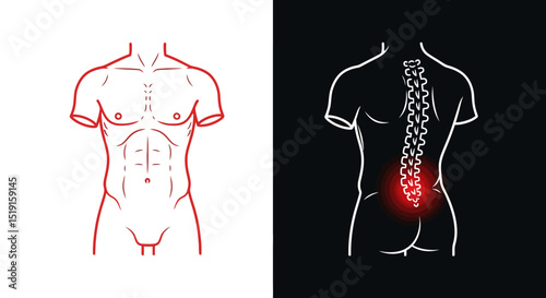 Male Torso Anatomy with Spinal Pain Indication