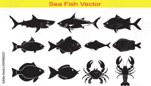 Sea Fish Silhouette Icon Collection Set Vector Illutration on White Background