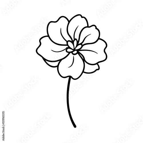 Elegant simple black and white flower isolated on a clean white background for designs