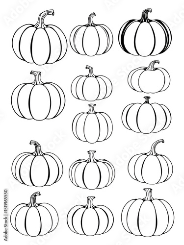 Collection of outline pumpkins, gourds different types, shapes and sizes. Vector isolated set for halloween, thanksgiving day