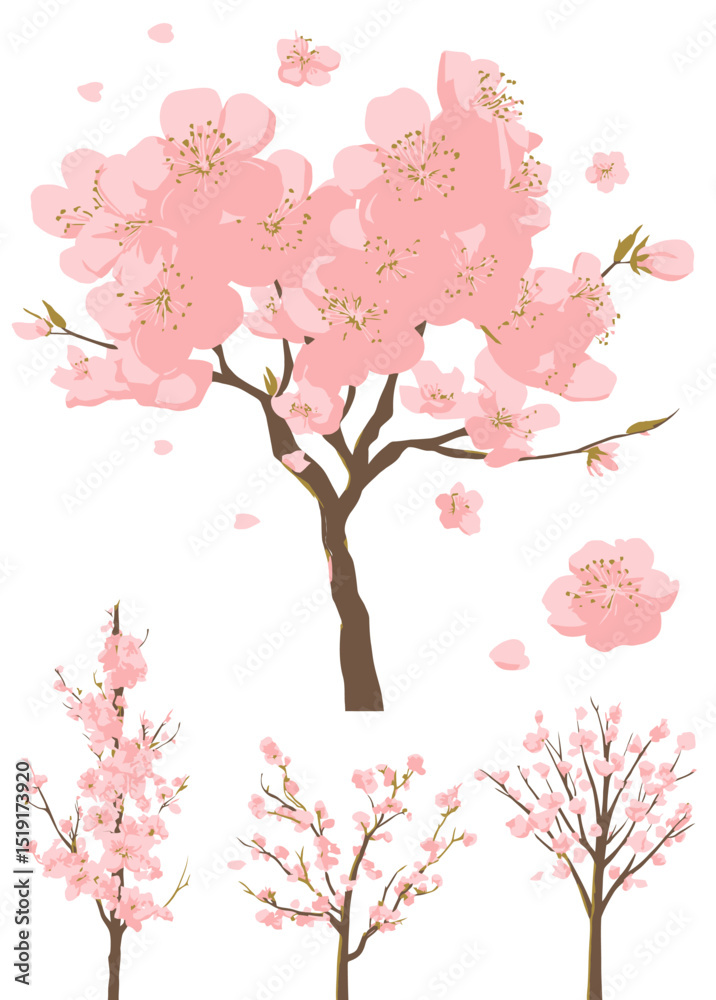 Fototapeta premium Pink Cherry Blossom Tree Vector Set Spring Floral Illustrations for Design