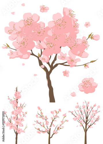 Pink Cherry Blossom Tree Vector Set Spring Floral Illustrations for Design