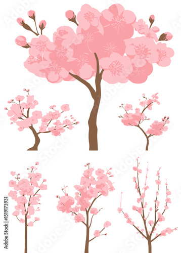 Pink Cherry Blossom Trees Vector Graphics Set for Spring Designs