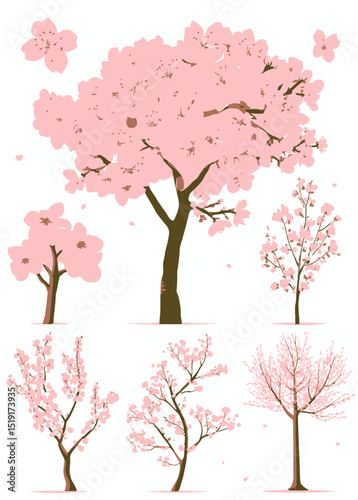 Pink Cherry Blossom Trees Vector Illustration Set